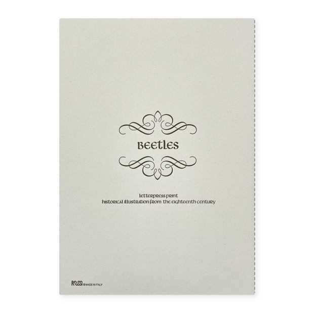 Rossi Beetles - softcover notebook