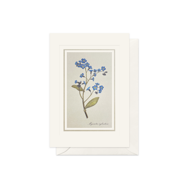 Forget-me-not Card