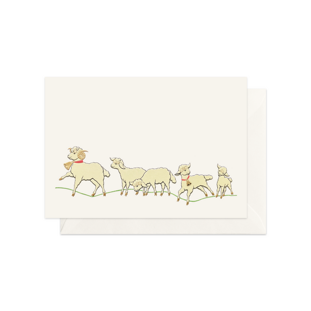 Flock Of Sheep Greeting Card