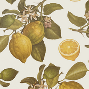 Rossi Lemons Wrapping Paper