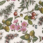 Rossi Mediterranean Plants Wrapping Paper