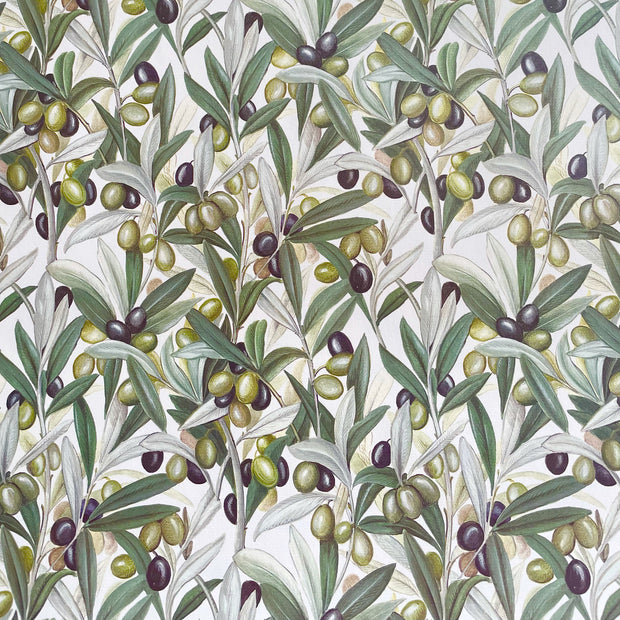 Rossi Olives Wrapping Paper